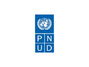 pnud